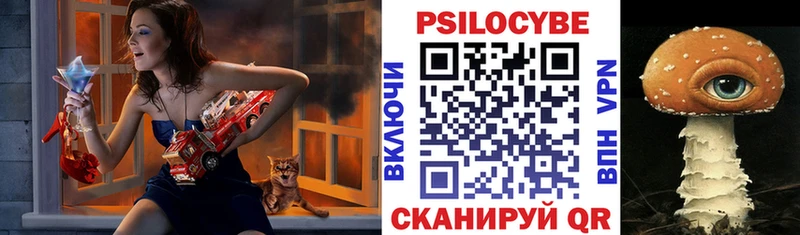 Псилоцибиновые грибы мицелий  Лодейное Поле 